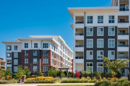 shutterstock_2352177767-e1720209544675-2 (1) 450x300 (1)